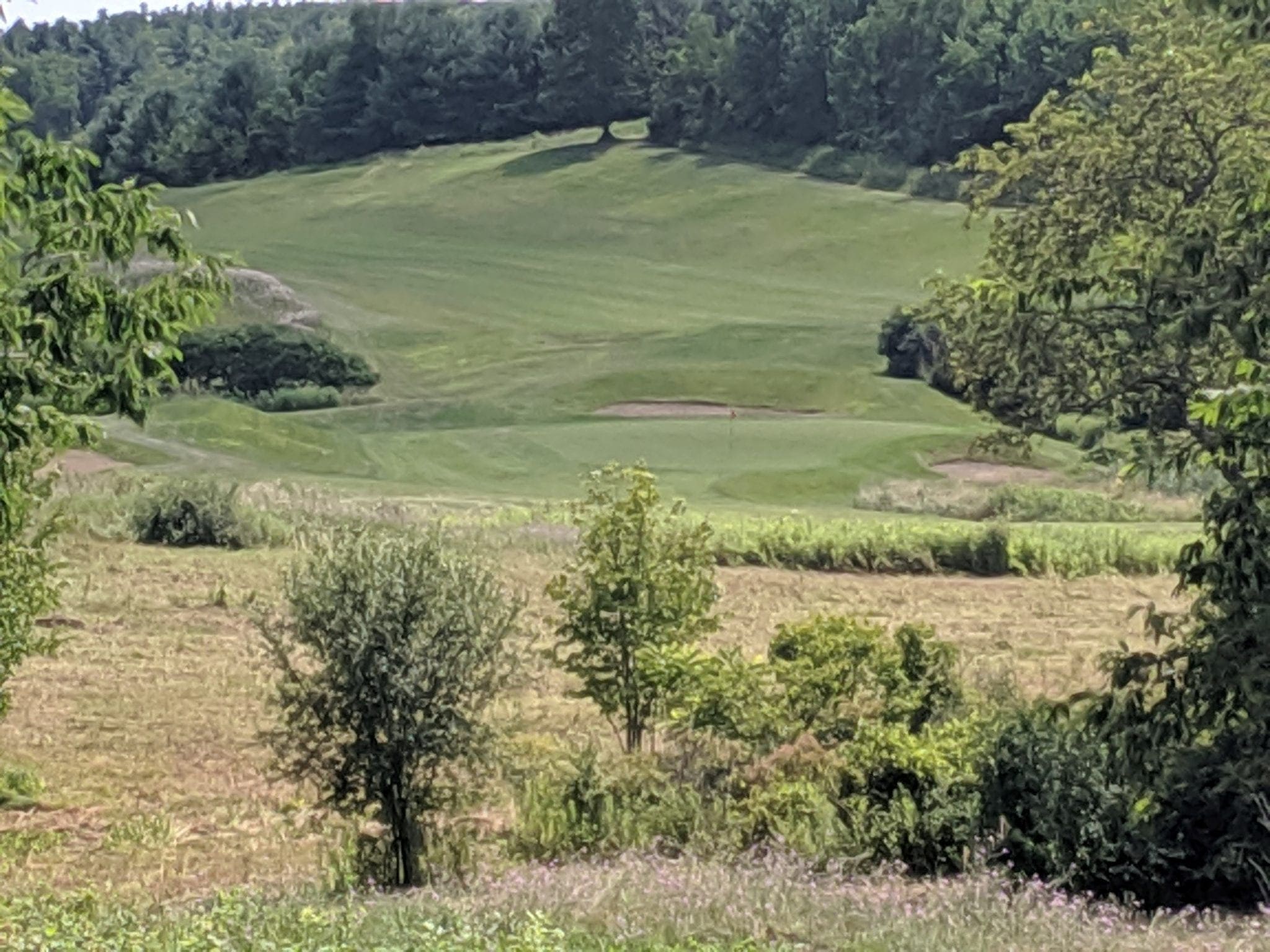 Lot Picture 1